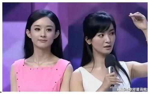 娱乐圈吃瓜大爆料马伊琍,揭秘背后的真相与情感纠葛